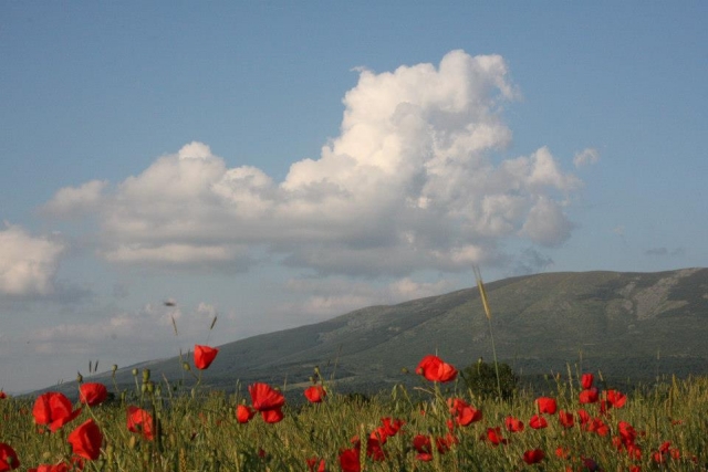  Paesaggi di Arcones 